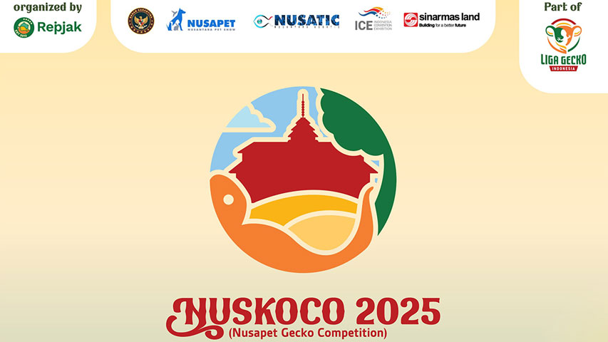 Nuskoco 2025 (Nusapet Gecko Competition)