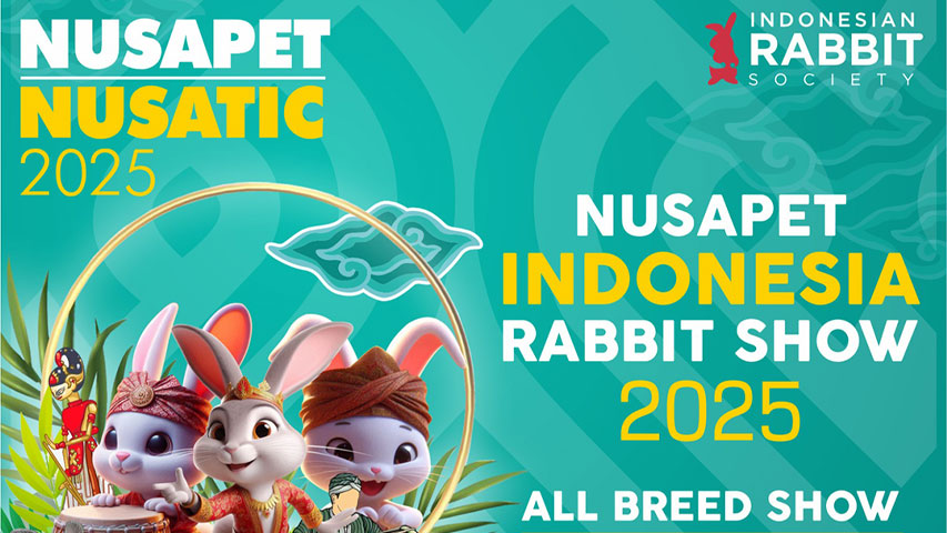 Nusapet Indonesia Rabbit Show 2025