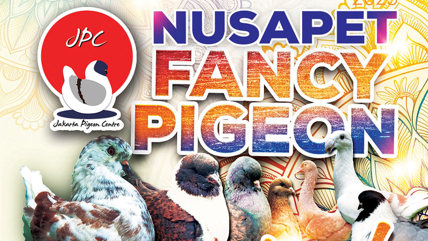 Nusapet Fancy Pigeon Festival