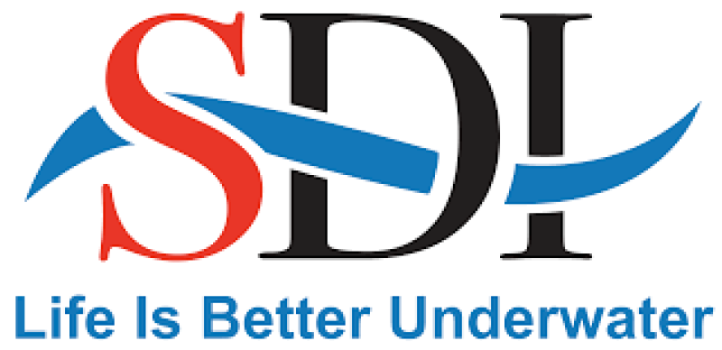 Surya Duta International