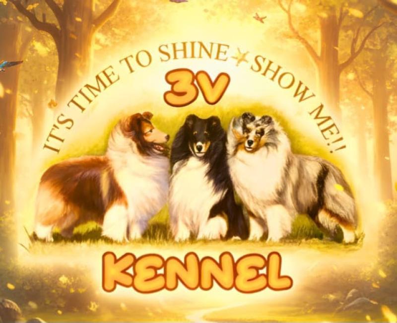 3V Kennel