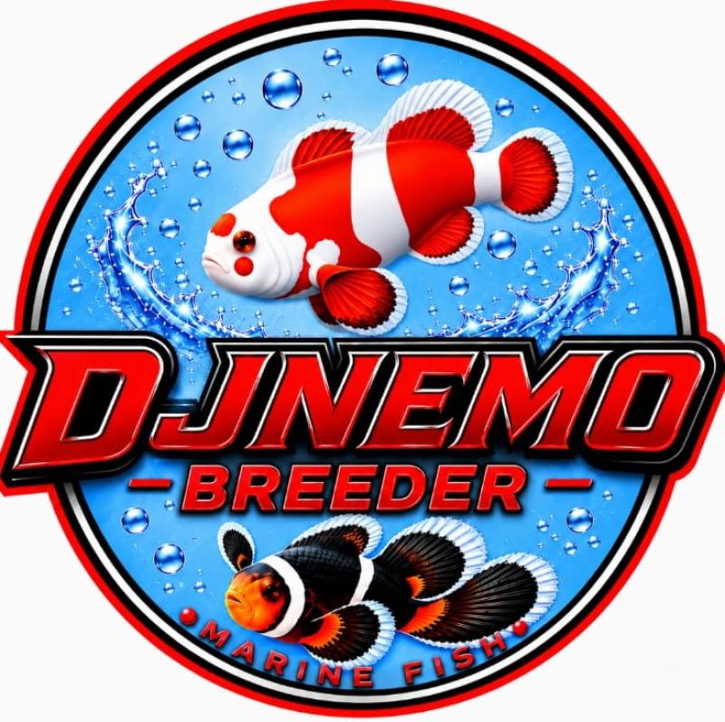 DJ Nemo