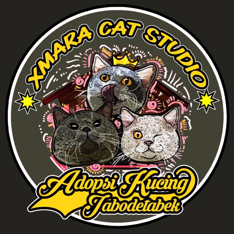 Xmara Cat Studio