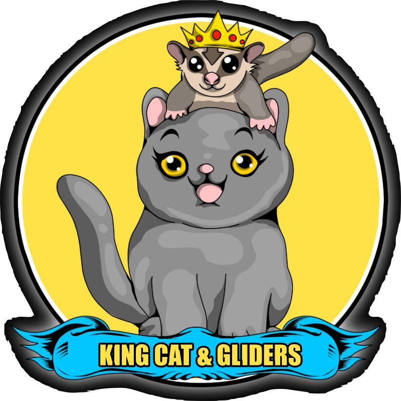 King Cat & Gliders