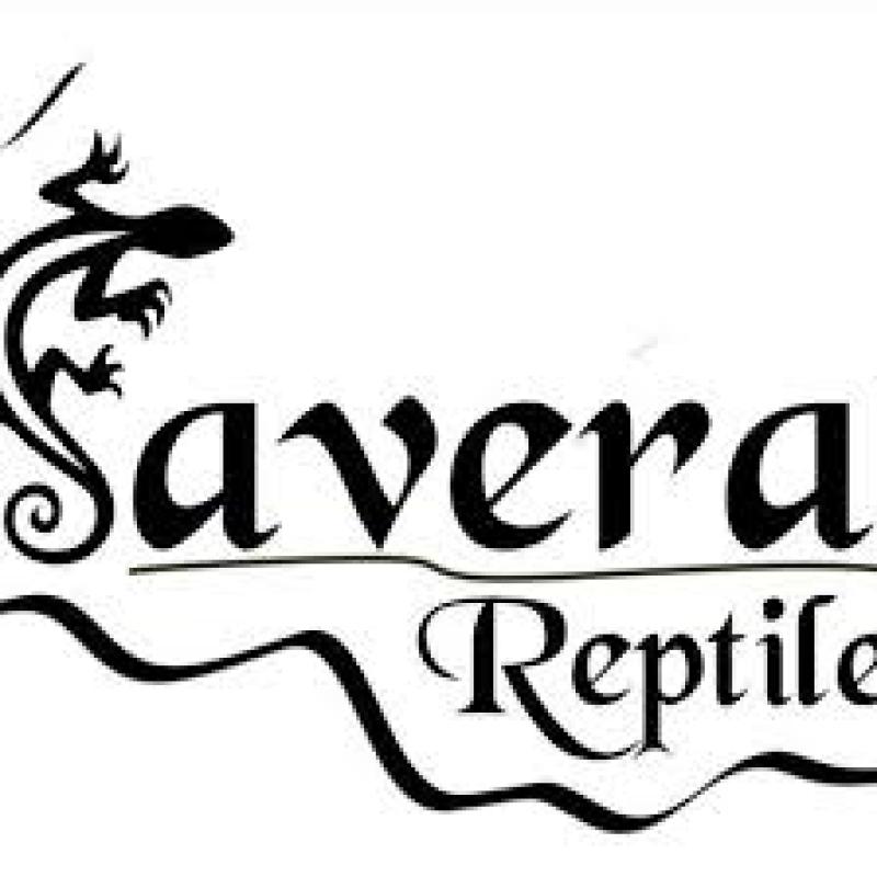 Savera Reptile