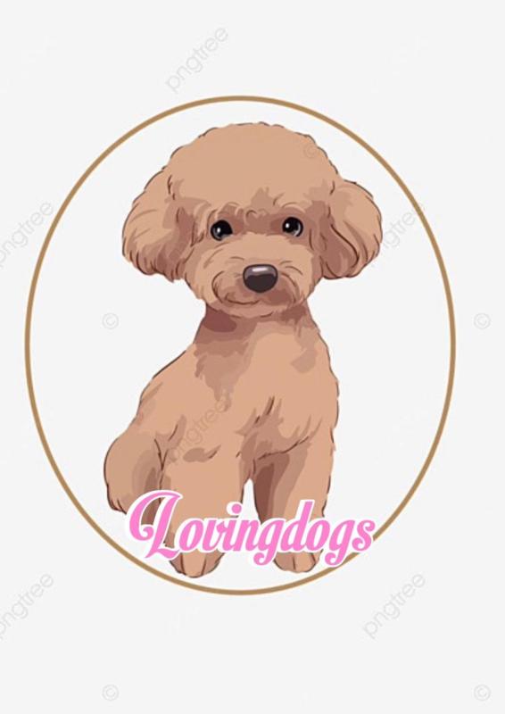 Loving dogskennel
