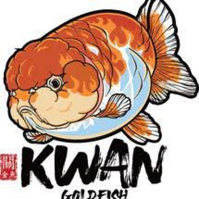 KwanGoldfish X Aquavish