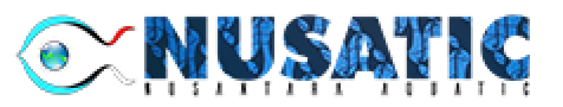 Nusatic Market